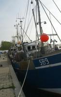 Fehmarn_Burgstaaken