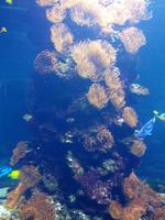 Fehmarn_Meereszentrum