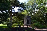 Blarney Castle & Gardens