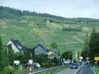 Fahrt entlang der Weinhänge