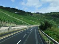 Fahrt entlang der Weinhänge