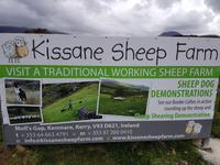 Ring of Kerry
