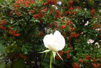 Spätsommer trifft Herbst