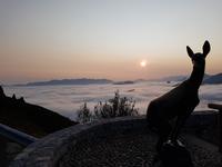 Wanderreise Nord-Spanien – Jakobsweg und Atlantik (347)