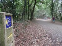 Wanderreise Nord-Spanien – Jakobsweg und Atlantik (584)