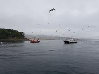 Wanderreise Nord-Spanien – Jakobsweg und Atlantik (699)