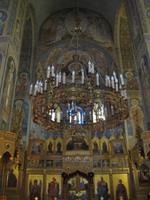 IMG_9495