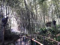 51_Garten_Hruska_Heller