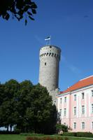 Langer Herrmann in der Oberstadt