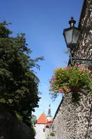 In den Gassen von Tallinn