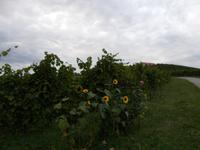 Rundreise Slowenien