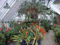 Garten von  Grey Gables