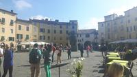 Lucca (Piazza dell´ Anfiteatro)