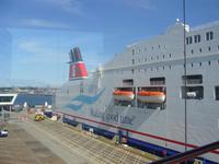 Da ist sie unsere hübsche Neue!