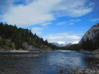 River of no Return - Kulisse aus Monroe-Film mit Wapitis im Hintergrund