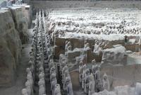 Terrakotta-Armee Halle 1