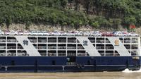 Autotransporter
