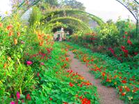 Giverny - Claude Monet Gärten