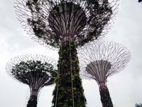 In den Gardens on the Bay