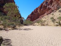 Flußbett vor Simpson Gap