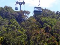 Regenwaldseilbahn