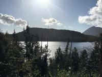 Kennedy Lake auf dem Weg nach Tofino