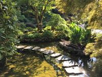 Steinbruecke im japanischen Garten