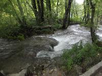 Nationalpark Plitwitzer Seen