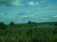 Camargue - ganz in der Ferne Flamingos