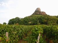 im Weingebiet Beaujolais