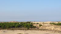 Doñana (24)