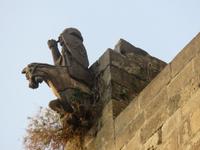 Barcelona – Stadtrundgang im Gotischen Viertel – Kathedrale Santa Eulalia – Wasserspeier