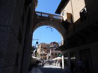  Verona