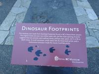 Fußspuren von Sauriern