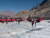 auf dem Athabaska Gletscher