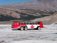 auf dem Athabaska Gletscher