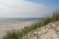 Kurische Nehrung (Ostsee)