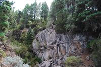 Mirador Piedra la Rosa