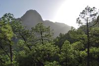 Nationalpark Caldera de Taburiente