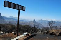 Waldbrand auf Gran Canaria