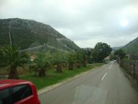 Ston