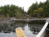 Oxtongue Wasserfall