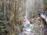 Johnston Canyon