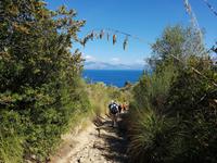 Italien, Cilento,  Wanderung von Marina di Camerote