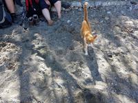 Italien, Cilento, Porto degli Infreschi