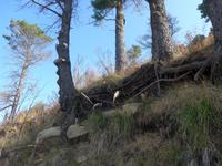 Italien, Cilento, Wanderung Monte Stella