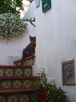 Italien, Capri