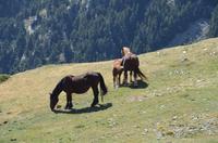 Spaziergang auf dem Gipfel