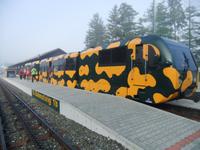 In Puchberg wartet die Salamanderbahn auf uns