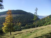 Schöne herbstliche Aussichten während der Fahrt